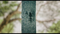 EverythingEverywhereAllAtOnce-45.png (image/png, 806730 B)