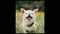 EverythingEverywhereAllAtOnce-52.png (image/png, 437683 B)