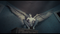 FilmAngela-003.png (image/png, 2161665 B)