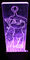 NewLEDPictures-_MG_4793.b.JPG (image/jpeg, 360953 B)