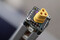 WAMP2023_makro-_MG_1639b.JPG (image/jpeg, 3547912 B)