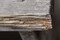 WAMP2023_makro-_MG_1642b.JPG (image/jpeg, 6750625 B)