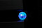 WAMP2023_makro-_MG_1657b.JPG (image/jpeg, 1541093 B)