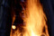 WAMP2023_nah-_MG_1704b.JPG (image/jpeg, 2965620 B)