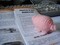 Häkelschwein-DSC01446_b_1200_0.JPG (image/jpeg, 207777 B)