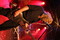 Rock im Wingert 2012 - Hämatom-IMG_7729.JPG (image/jpeg, 918160 B)