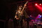 Rock im Wingert 2012 - KISS Forever Band-IMG_7333.JPG (image/jpeg, 797180 B)