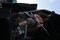 Rock im Wingert 2012 - Project Brain Storm-IMG_0730.JPG (image/jpeg, 426290 B)