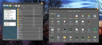 MenuetOS_and_KolibriOS-screenshot-1.png (image/png, 579439 B)