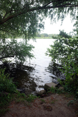 Eine enge Einstiegstelle in eine ruhiges Gewässer. Steine am Ufer. Links und rechts Büsche und Bäume. Ein Ast ragt quer über die in den Flussarm führende Nische und spendet dem ganzen Bereich Schatten.
