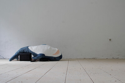 A Blåhaj lying on its back on a speaker and a small amplifier connected to a phone in an otherwise empty room.