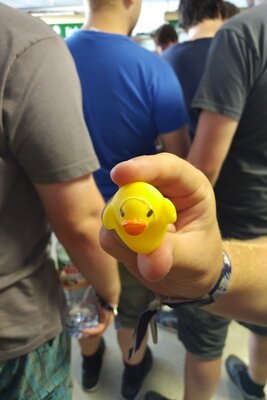 Derpyfest2018-IMG_20180610_1013080.jpg (image/jpeg, 88540 B)