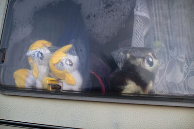 The front window of the "black market" trailer. There is a hint of a huge plush further back in the camper.