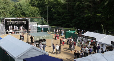Rock die Burg 2012-IMG_8646.JPG (image/jpeg, 212926 B)