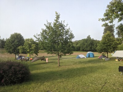 WAMP2022-1_Wiese.jpg (image/jpeg, 3660915 B)