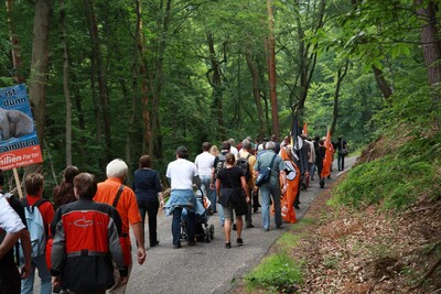 Hambacher Fest 2.012-IMG_9668.JPG (image/jpeg, 904658 B)