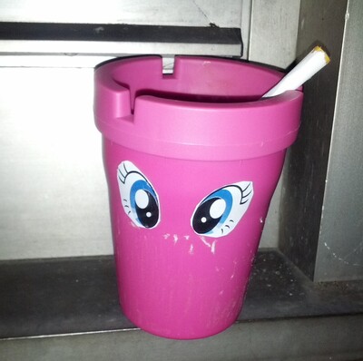 Pony-IMG_20130129_193145.jpg (image/jpeg, 496502 B)